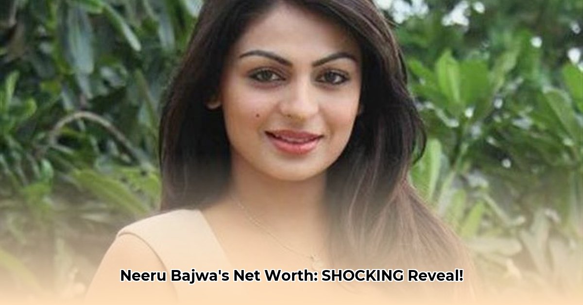 neeru-bajwa-net-worth
